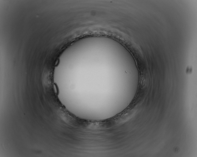 X0000100851490200807070920