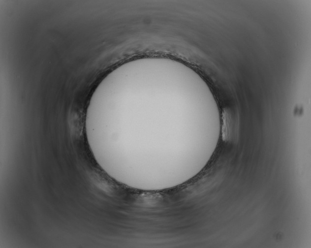 X0000100851491200807070920