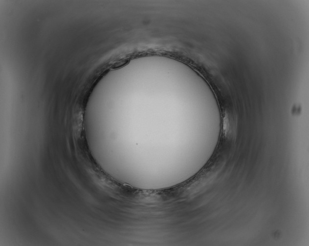 X0000100851492200807070920