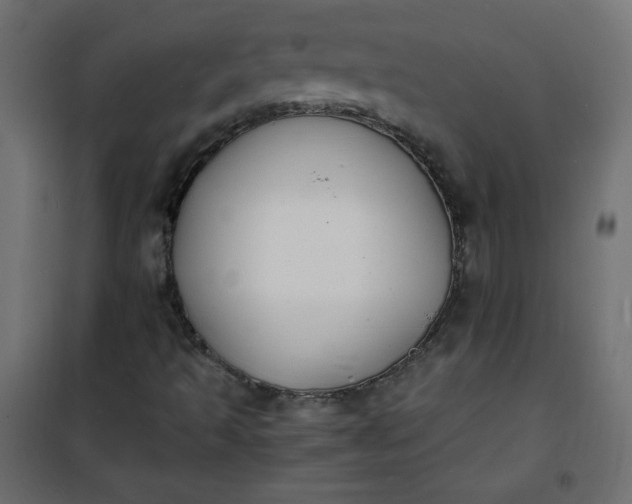 X0000100851493200807070920