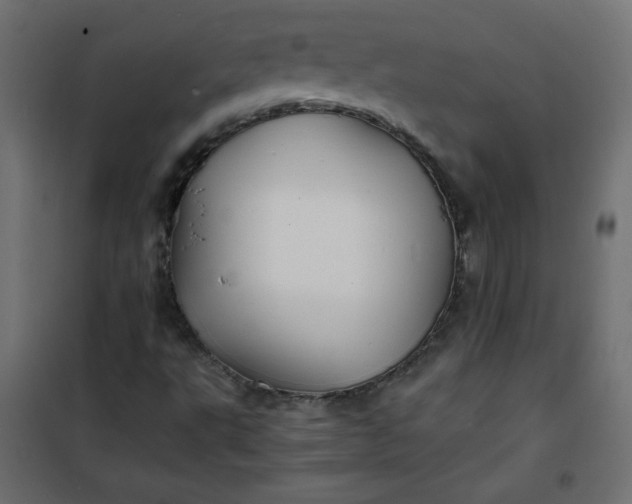 X0000100851495200807070920