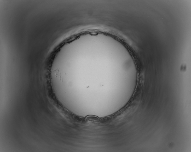 X0000100851496200807070920