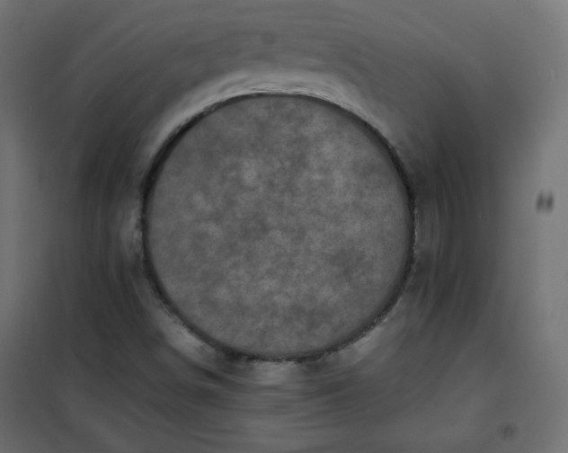 X0000100851498200807070920