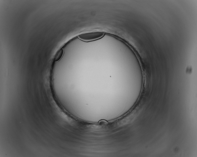 X0000100851500200807070920