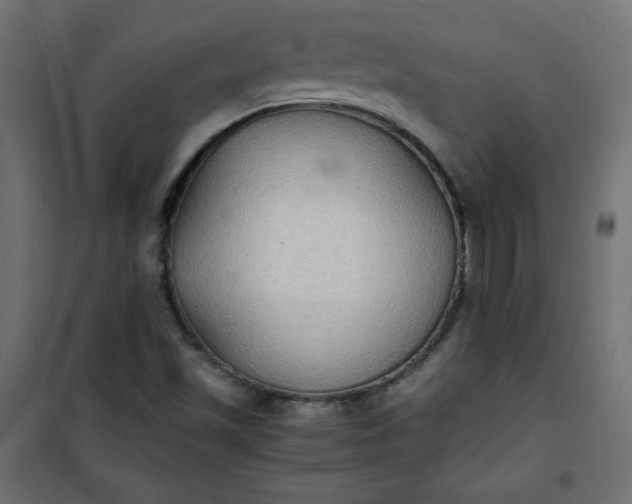 X0000100851501200807070920