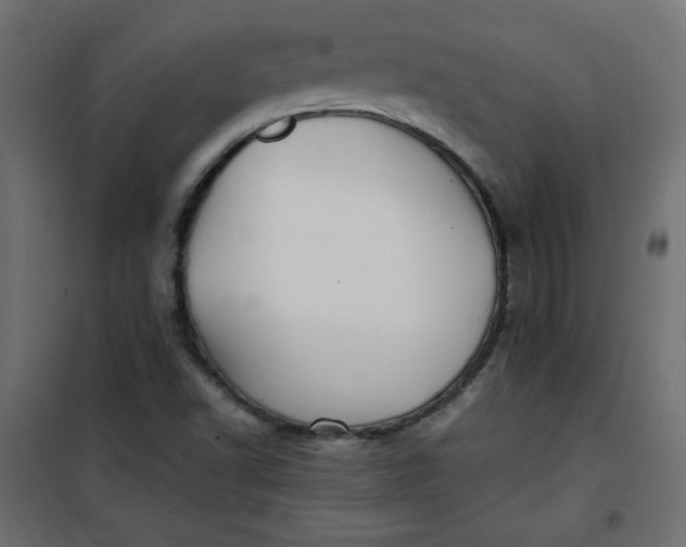 X0000100851502200807070920