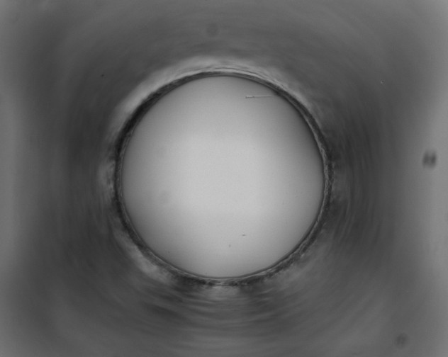 X0000100851503200807070920