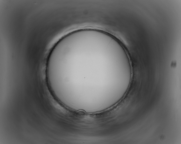 X0000100851504200807070920