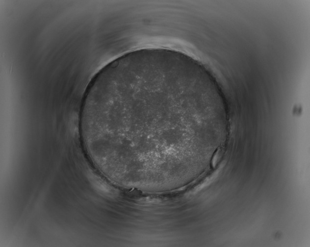 X0000100851505200807070920