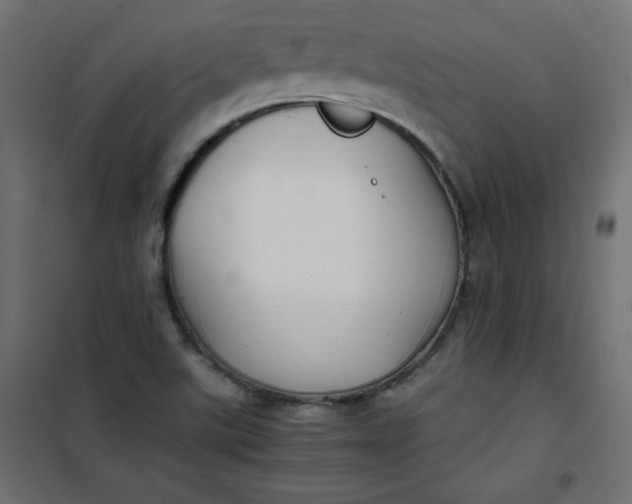 X0000100851507200807070920