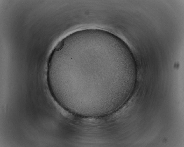 X0000100851508200807070920