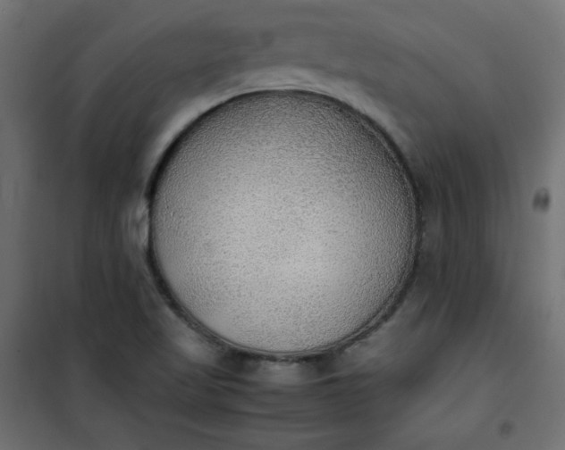 X0000100851509200807070920