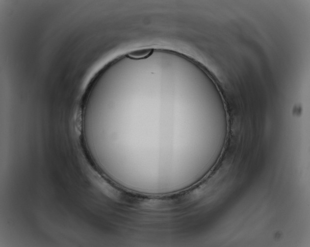 X0000100851510200807070920