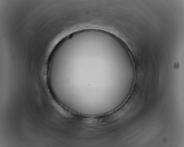 X0000100851511200807070920