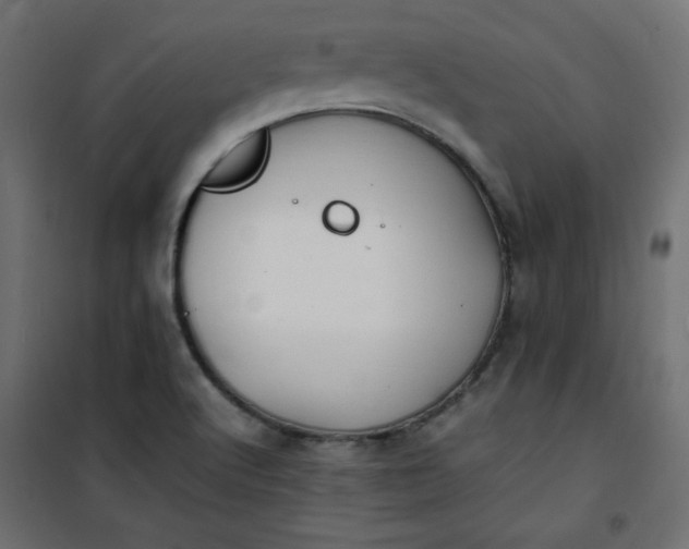 X0000100851512200807070920