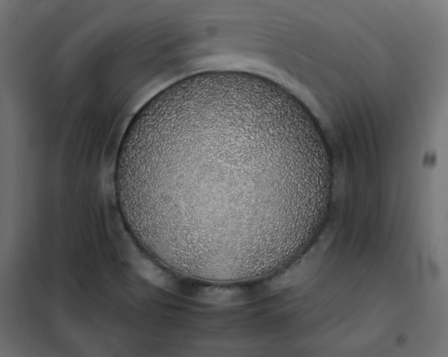 X0000100851513200807070920