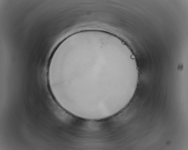 X0000100851514200807070920