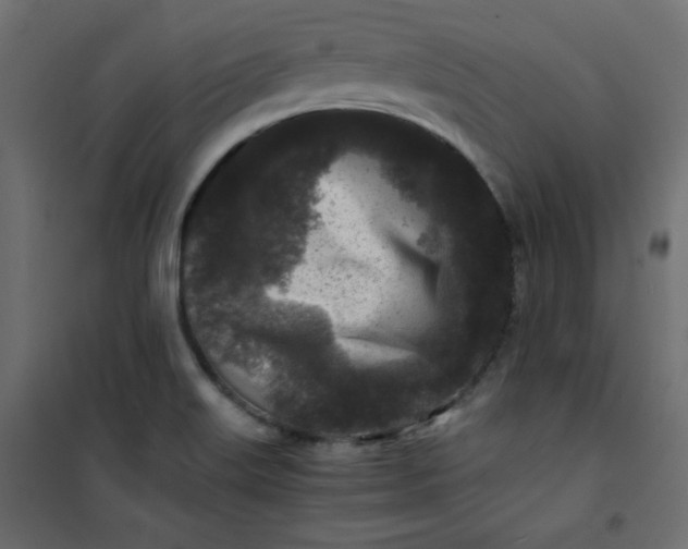 X0000100851515200807070920