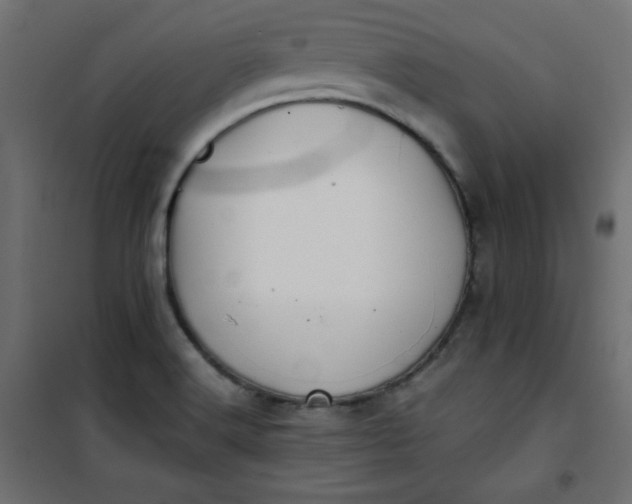 X0000100851516200807070920