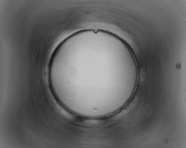 X0000100851517200807070920