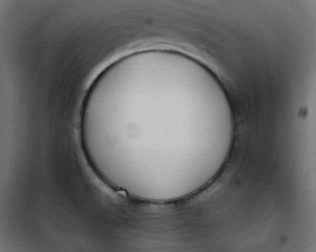 X0000100851518200807070920