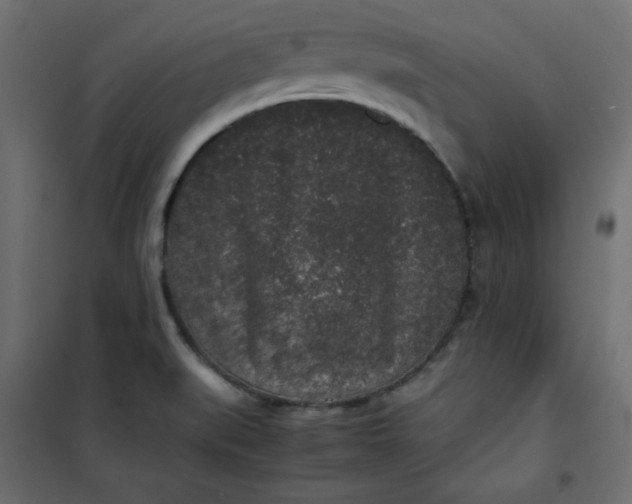 X0000100851519200807070920