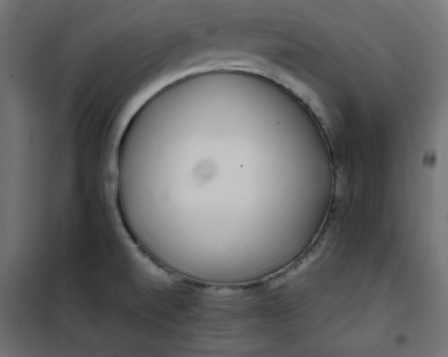 X0000100851520200807070920