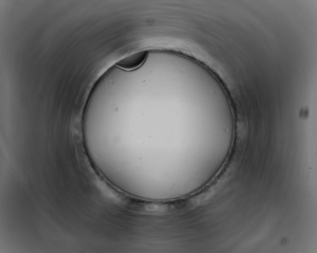 X0000100851521200807070920