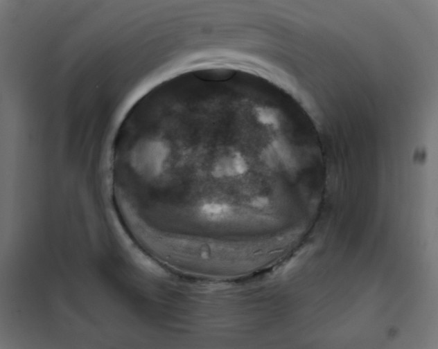 X0000100851522200807070920