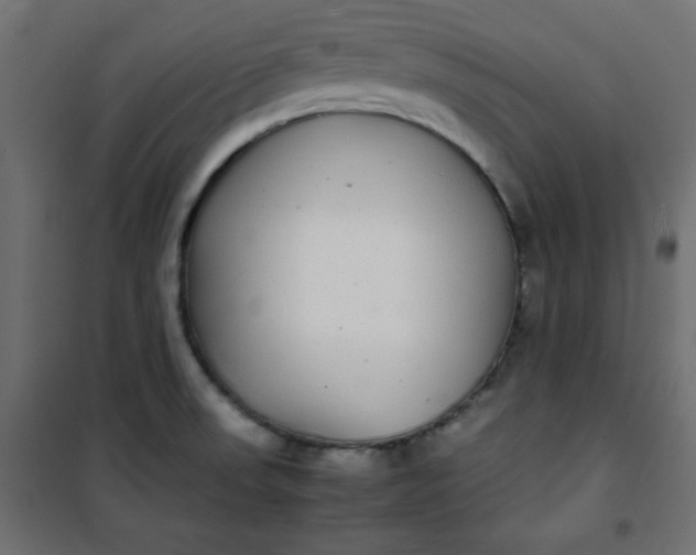 X0000100851523200807070920