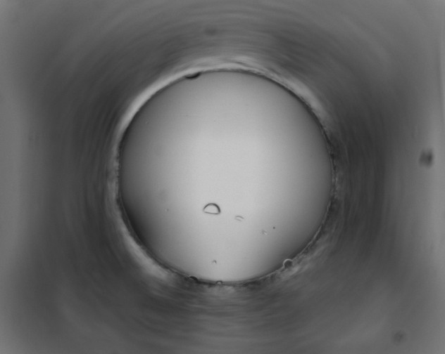 X0000100851524200807070920