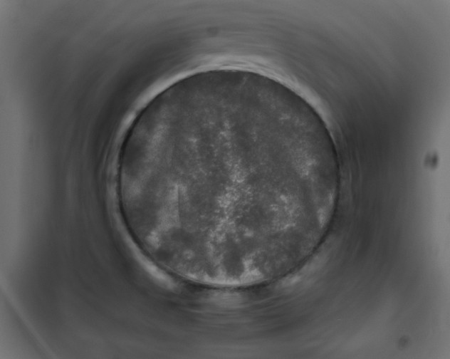 X0000100851525200807070920