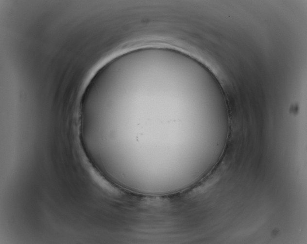 X0000100851526200807070920