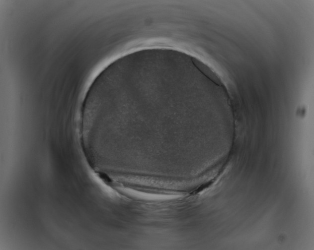 X0000100851527200807070921