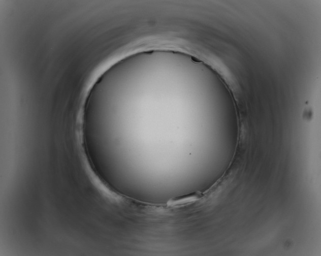 X0000100851528200807070921