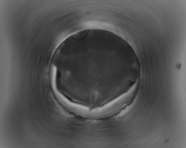 X0000100851529200807070921