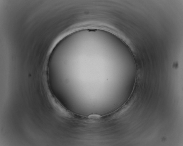 X0000100851530200807070921