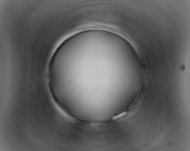 X0000100851531200807070921