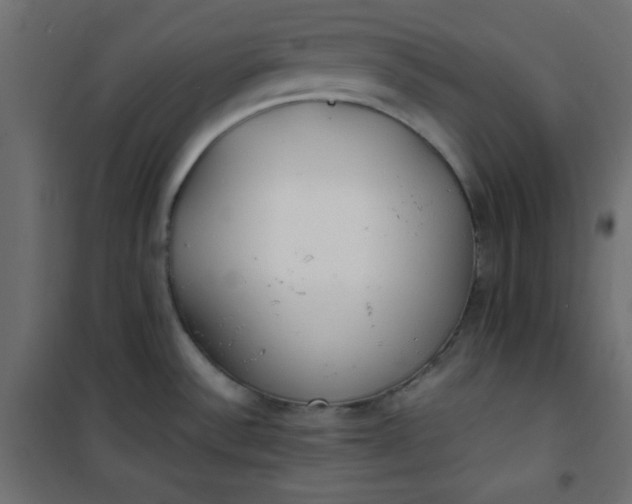 X0000100851532200807070921