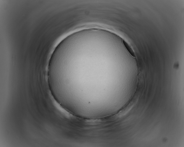 X0000100851535200807070921