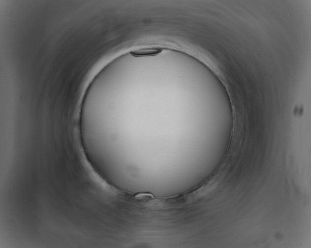 X0000100851536200807070921