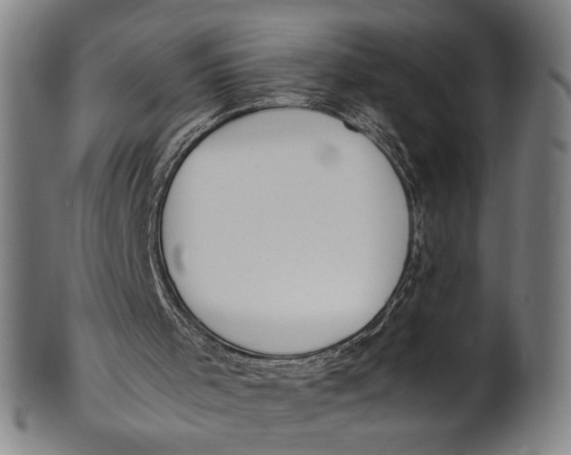 X0000100850001200807111227