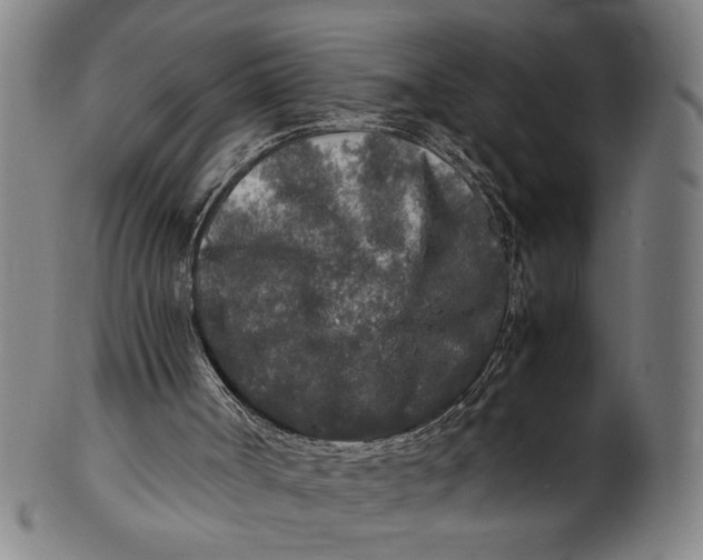 X0000100850002200807111227