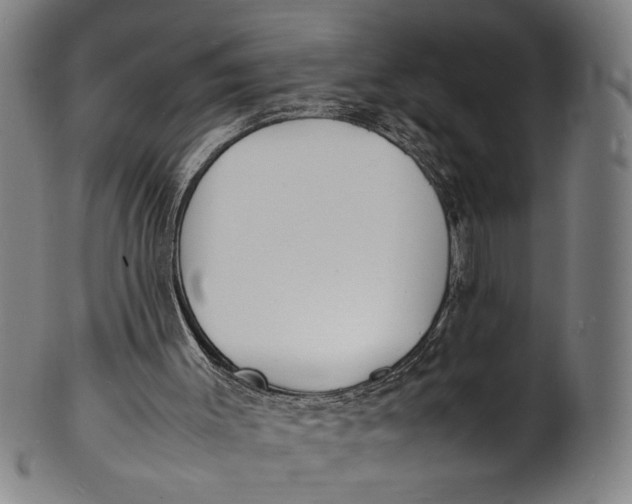 X0000100850003200807111227