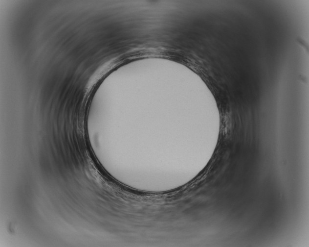 X0000100850004200807111227