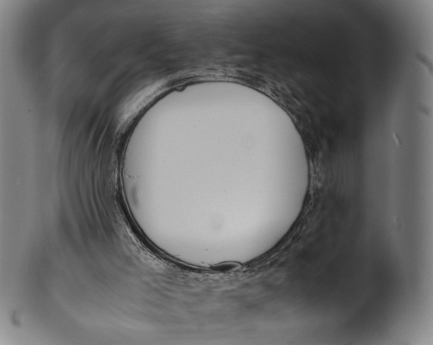 X0000100850005200807111227