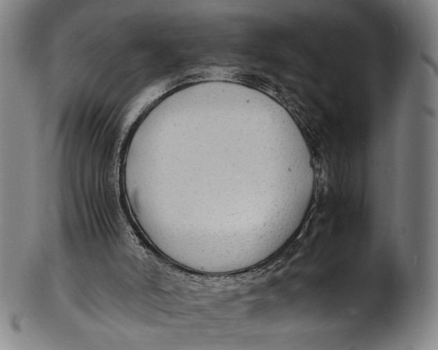 X0000100850006200807111227