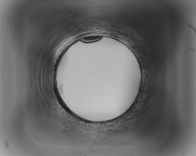 X0000100850007200807111227