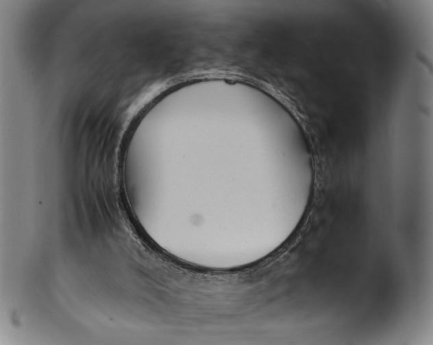 X0000100850008200807111227