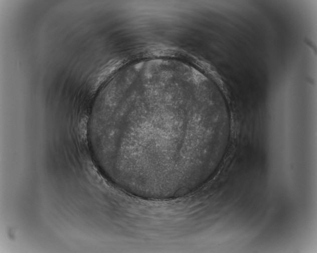 X0000100850010200807111227